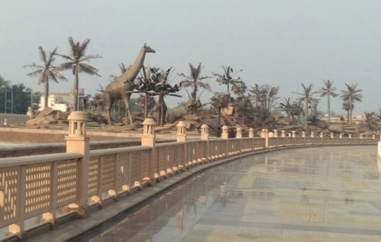 69 हजार शिक्षक भर्ती के अभ्यर्थियों ने ईको गार्डेन में तिरंगा फहराया Sarwadhik news