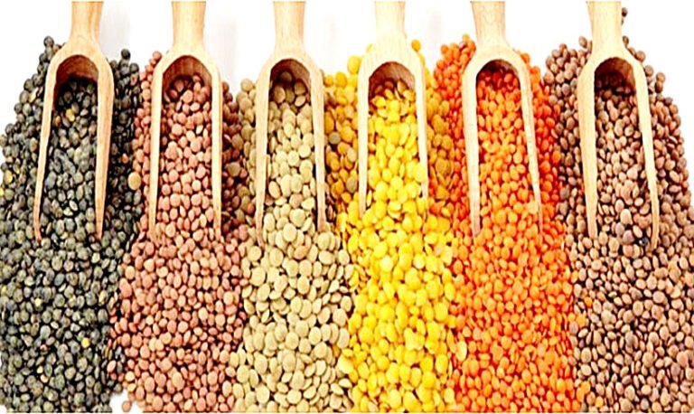 Pulses sarwadhik news दालों के दाम में आई गिरावट 2025