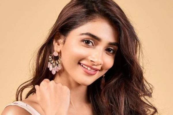 शाहिद कपूर अच्छे अभिनेता के साथ- साथ अच्छे थेरापिस्ट भी पूजा हेगड़े Sarwadhik News