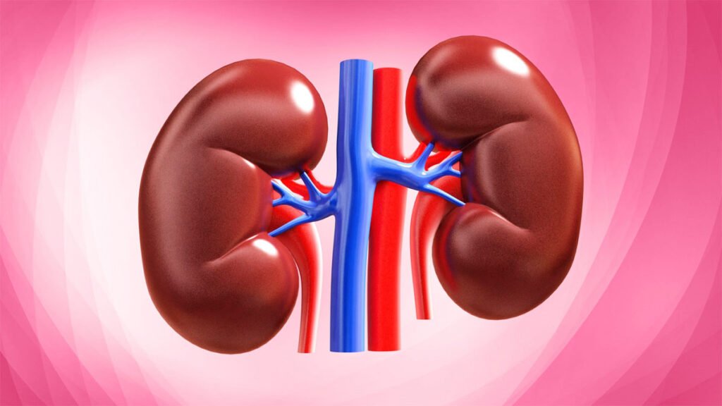 kidney ka ilaaj panchkarm ayurveda sarwadhik news पंचकर्म किडनी को कर सकता है पुनर्जीवित